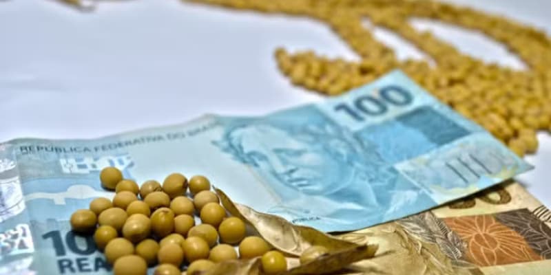 Entidades do agronegócio querem antecipar discussões sobre Plano Safra 202526 noticia globo rural