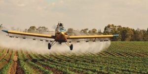 Bioinsumos representam um grande trunfo para o agro brasileiro
