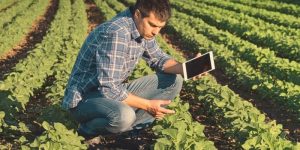 Contrato de integração vertical e a reforma tributária do consumo para o agronegócio