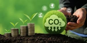 Créditos de carbono ganham força no Brasil e poderão ser usados para quitar impostos no agronegócio