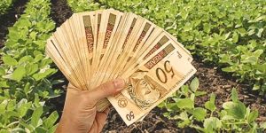 Liberado o acesso ao crédito rural e derrubada do veto aos fundos de investimentos agrários