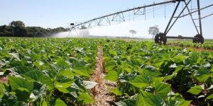 Novo mapa nacional revela áreas com maior potencial agrícola no Brasil
