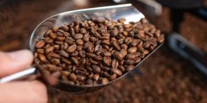 Preço do café subiu mais de 80% em um ano, entenda o motivo