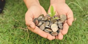 Reforma tributária e sucessão no agronegócio convite à organização patrimonial e fiscal
