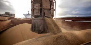 Tarifaço de Trump dá impulso a receitas de empresas do agro no Brasil