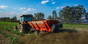 Uso de remineralizadores ganha força entre agricultores para regenerar solos e reduzir custos