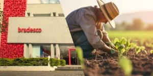 Bradesco disponibiliza 50 bilhões para apoiar o agronegócio no Plano Safra 2025 26