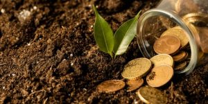 Créditos de carbono poderão quitar impostos no agronegócio