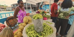 Plano Safra 2526 Governo confirma valor de R$ 89 bilhões para agricultura familiar