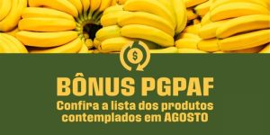 Agricultura familiar Governo garante bônus para produtos com preços abaixo do mínimo