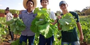 Jovem Agricultor do Futuro abre as portas do mercado de trabalho