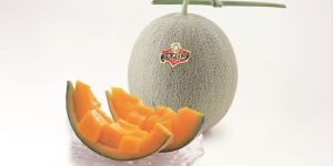 Uma das frutas mais caras do mundo pode custar o valor de um carro; veja qual é