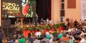 Para melhorar renda no campo, cadeia do cacau pede foco em produtividade