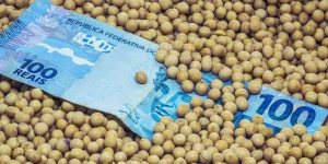 Imposto sobre títulos do agro prejudica financiamento do setor, dizem especialistas