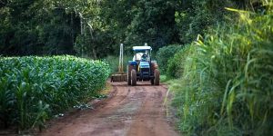 BNDES planeja Fundo Garantidor para pequenos e médios produtores rurais
